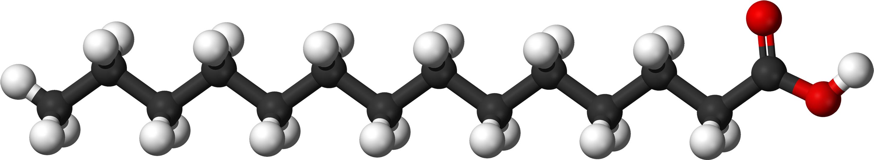 File - Myristic Ac - Fatty Acid Molecule (3000x802), Png Download