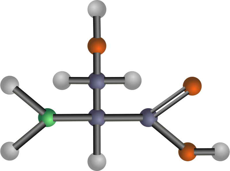 Serine - Amino Acids Clipart (800x595), Png Download