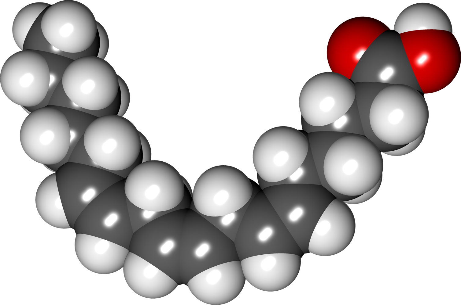 Gamma Linolenic Acid - Polyunsaturated Fatty Acid Png (1508x1000), Png Download