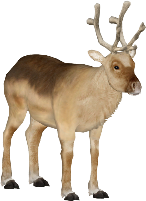 Peary Caribou 2 - Caribou Png (649x649), Png Download