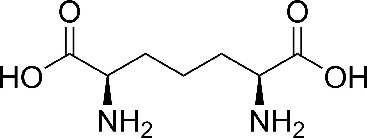 Diaminopimelic Acid - O Succinyl Homoserine (1540x583), Png Download