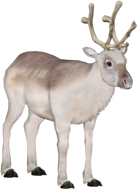 Peary Caribou 5 - Cartoon Peary Caribou (649x649), Png Download