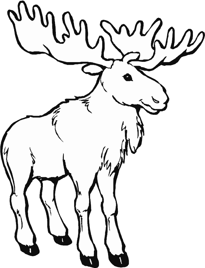 Png Library Animals Printable Coloring Pages Page - Moose Coloring Pages (700x933), Png Download