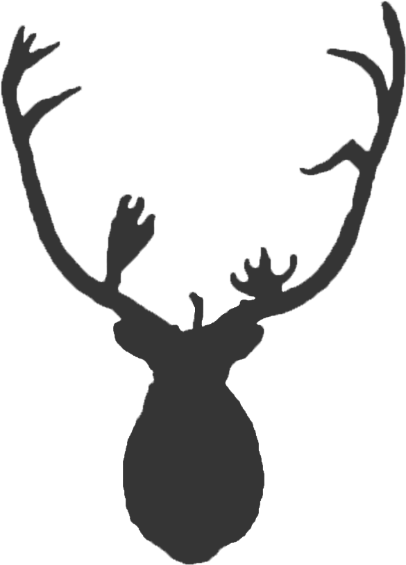 Caribou (590x819), Png Download