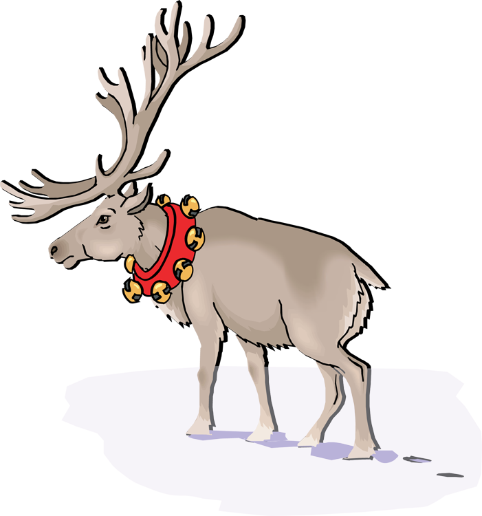 Caribou Reindeer - Reindeer (701x750), Png Download