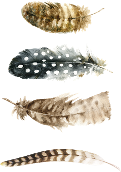 Feather Wall Charts & Free Feather Printables - Watercolor Feather Png Free (320x400), Png Download