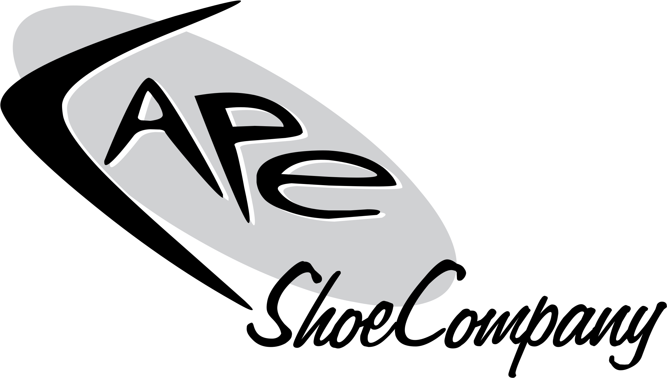 Cape Shoe Logo Png Transparent - Shoe (2400x2400), Png Download