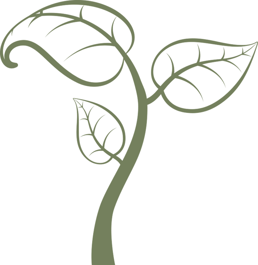 We Are Committed To Natural (980x1006), Png Download