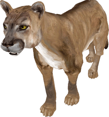 Puma - Imagenes De Puma Animal Gif (372x400), Png Download