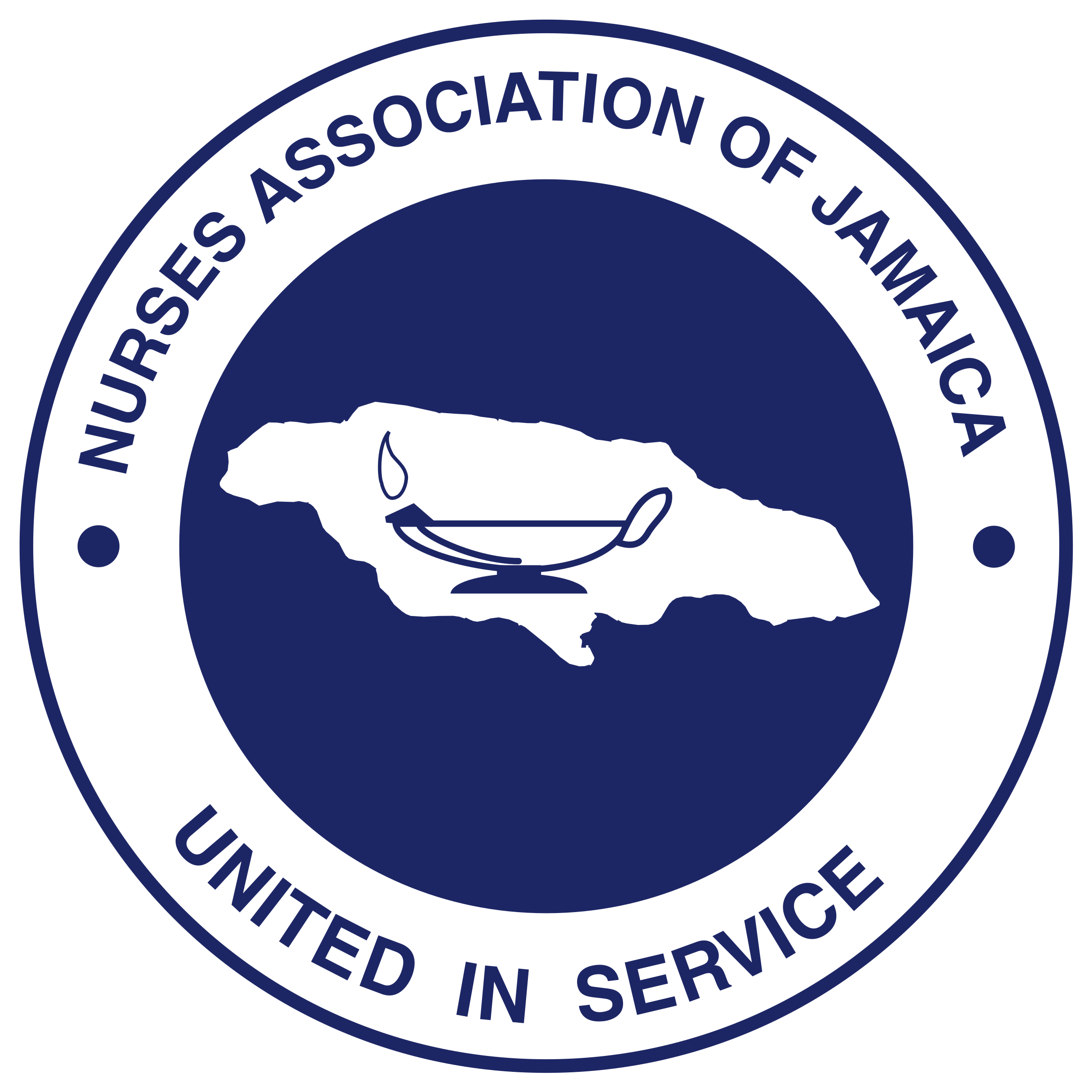 Nurses Association Of Jamaica Logo Png Transparent - New Bedford Public Schools (2400x2400), Png Download