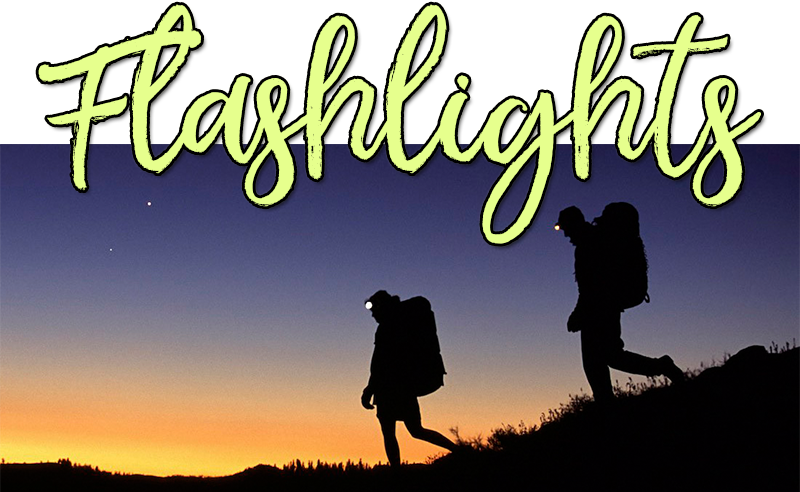 Flashlights At Costco - Lighting Ever Le Head Torch, Rechargeable Led Headlamp (800x492), Png Download