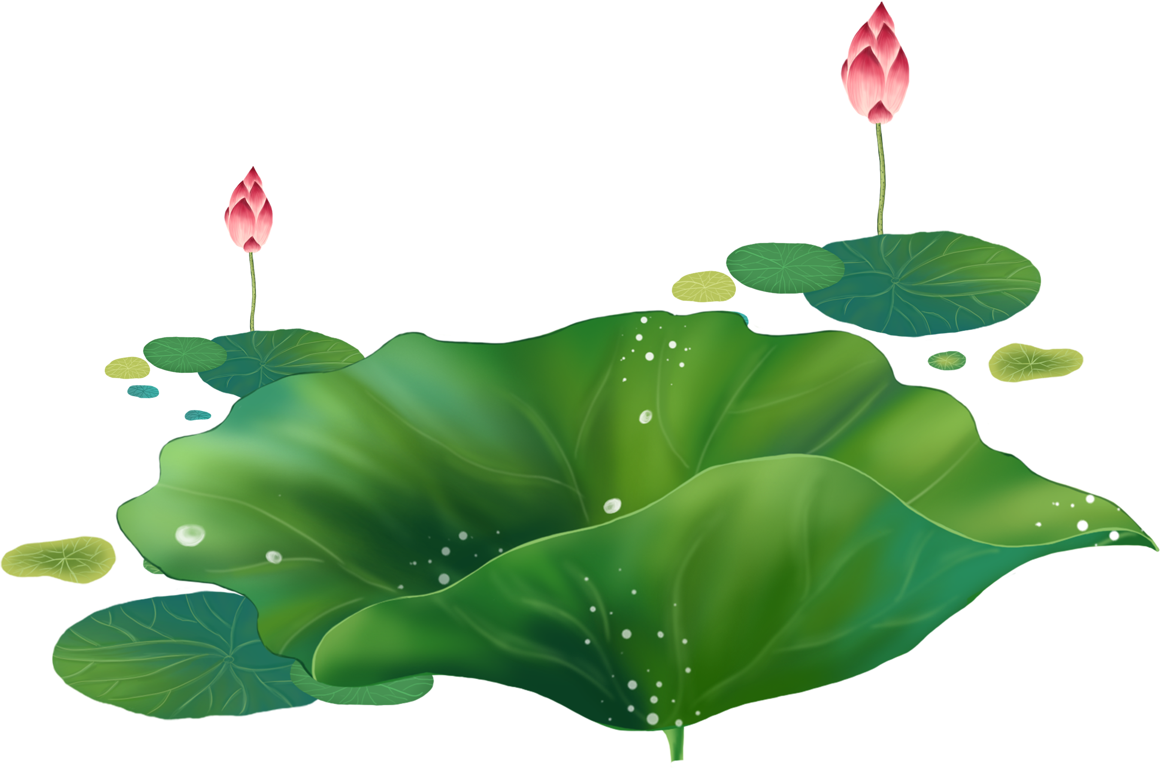 Cartoon Lotus Decorative About Hand Droplets - Portable Network Graphics (4252x3402), Png Download