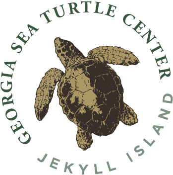 Georgia Sea Turtle Center Logo 360px - Georgia Sea Turtle Center Logo (360x360), Png Download
