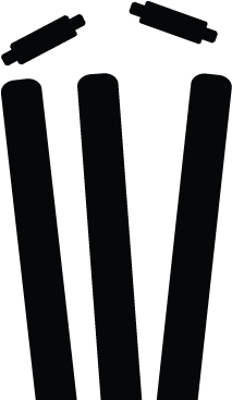 Black Vector Cricket - Cricket (800x800), Png Download
