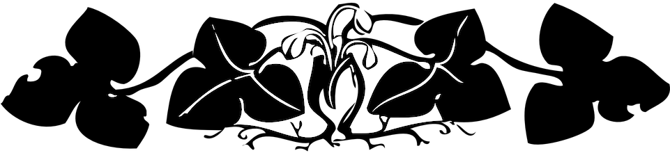 Border-28680 960 720 - Border Flower Png Hd Black (960x480), Png Download
