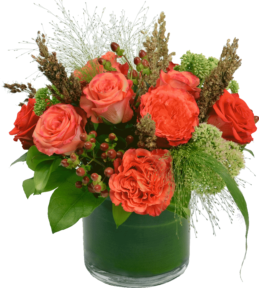 Blog (1024x1024), Png Download