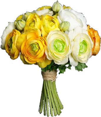 Since 1960 Onwards Vesuvius Was Born, With The Collaboration - Ranuncoli Bianchi E Gialli (400x400), Png Download