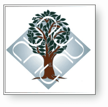 Ambedkar University Mba Admission Details - Ambedkar University Delhi (348x346), Png Download