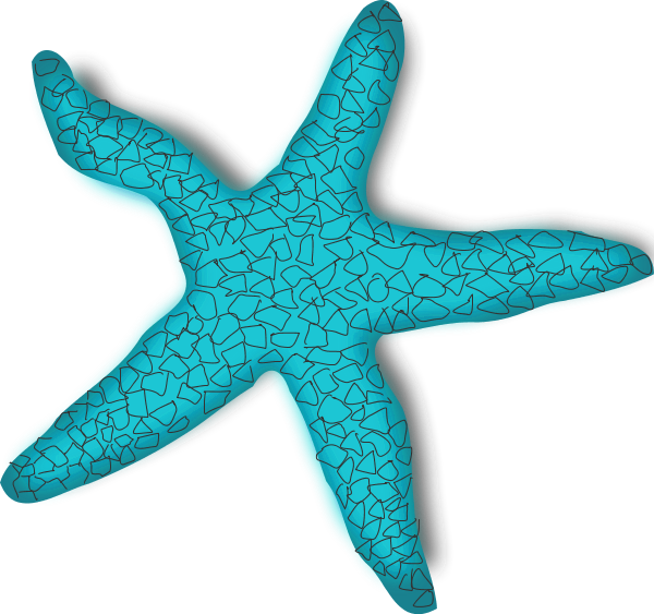 28 Collection Of Turquoise Starfish Clipart - Starfish Clipart Png (600x563), Png Download