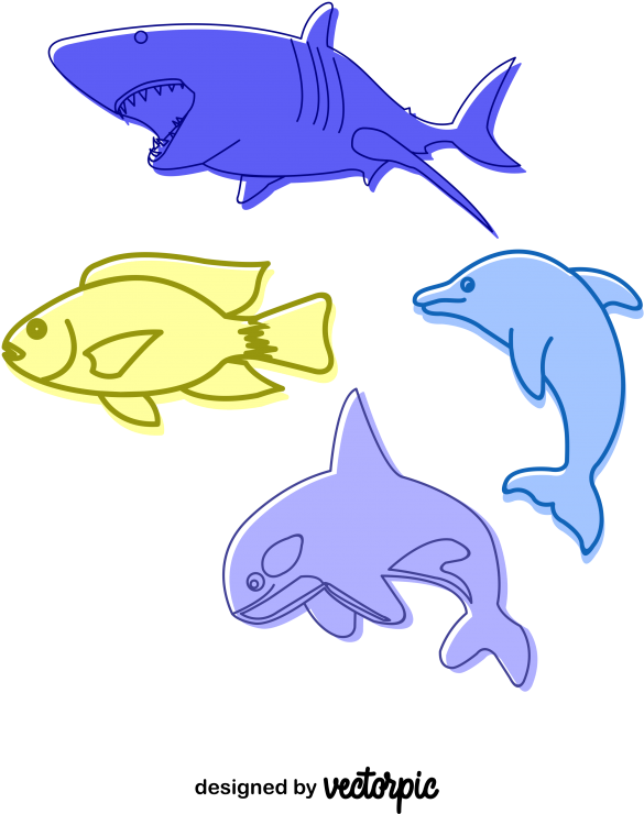 Sea (800x800), Png Download