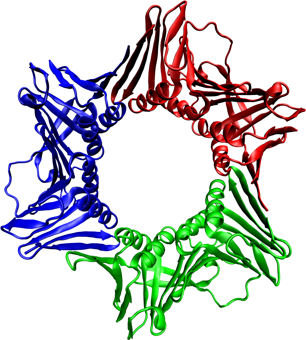 1axc Tricolor - Proteina Pcna (1108x1196), Png Download