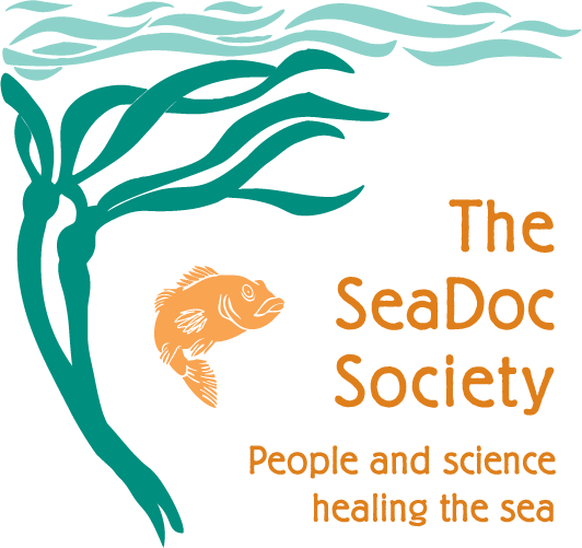 Sea Vector Png (532x501), Png Download