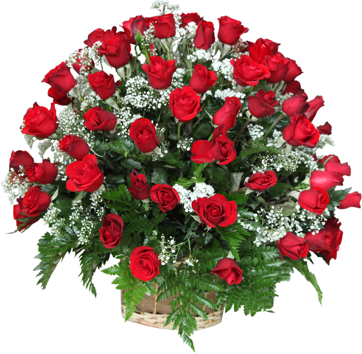Basket Arrangement With 50 Red Roses - Rose Bokeh Png Hd (800x782), Png Download