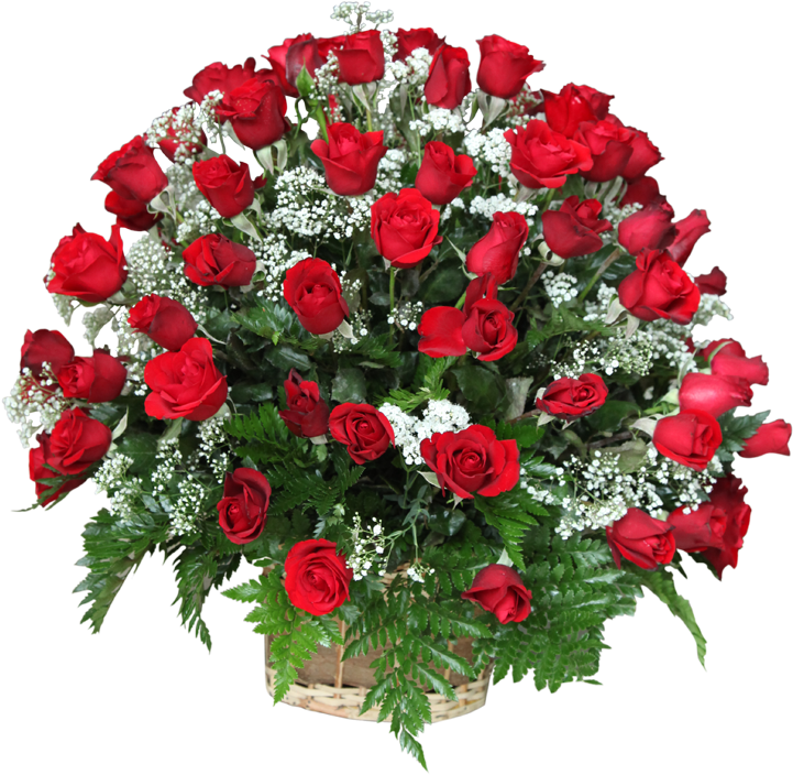 Basket Arrangement With 50 Red Roses Rose Bokeh Png Hd Free Transparent PNG Download PNGkey