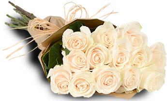 White Roses - 1 Dozen White Roses Bouquet (382x382), Png Download