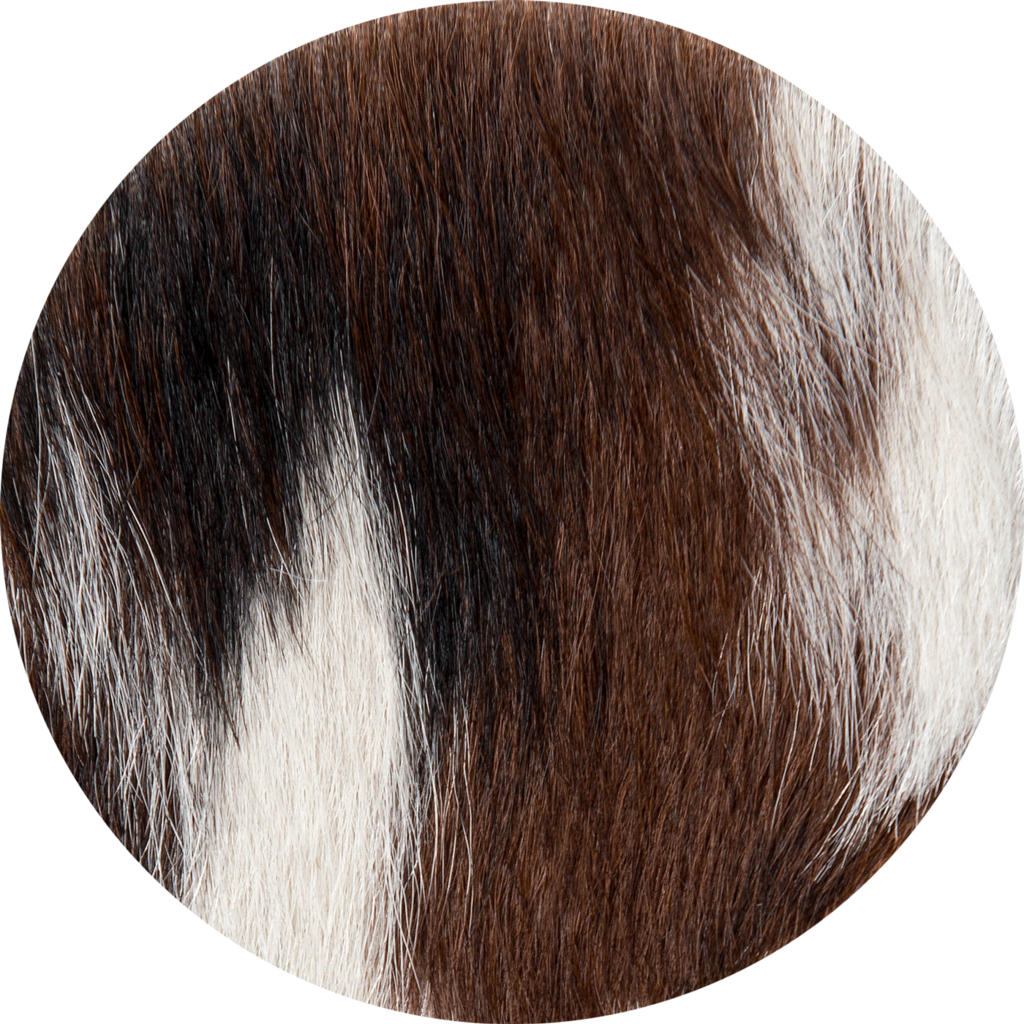 Tri Color - Color (1024x1024), Png Download