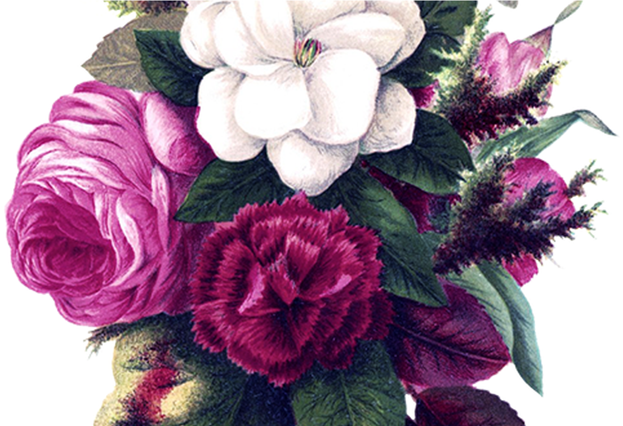 Collection Of Free Drawing Flowers Vintage Flower Download - Watercolor Border Flower Background (1368x855), Png Download