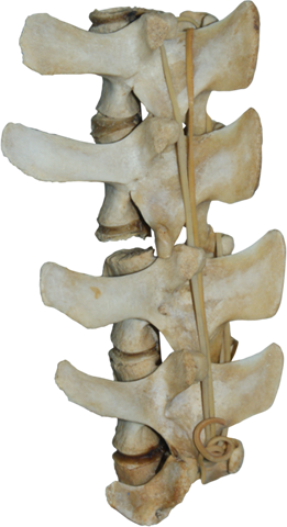 Bone-016 - Silverstone Gd07b Grandia Series Htpc Case (261x480), Png Download