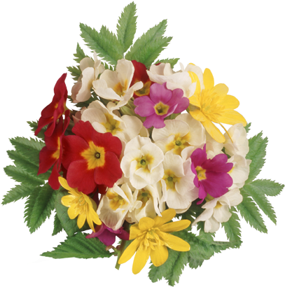 Wedding Flowers - Успешного Дня (406x508), Png Download