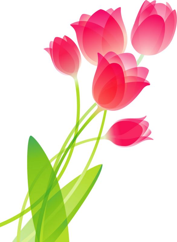 Flores Vector Pretty Flower - Tulip Flower Drawing (586x800), Png Download