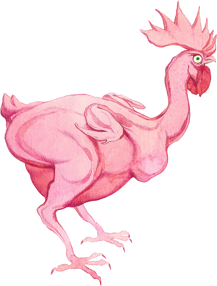 Rooster Chicken Broiler Illustration - Rooster (1200x1233), Png Download