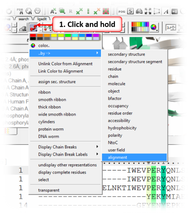 Propagate The Alignment Coloring To The 3d Structure - User Guide (630x714), Png Download