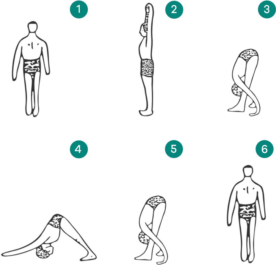 Modified Surya Namaskar - Surya Namaskār (964x964), Png Download