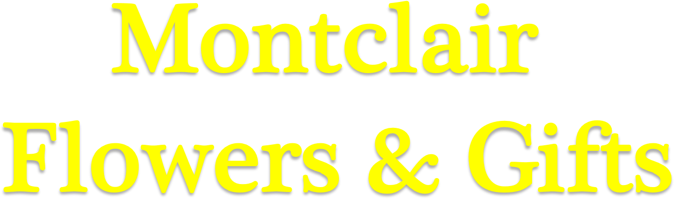 Montclair Florists & Gifts - Anheuser Busch Brewery (1609x680), Png Download