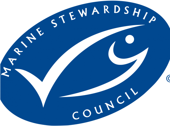 3 Virginia Food Establishments Receive Msc Certification - Marine Stewardship Council (585x450), Png Download