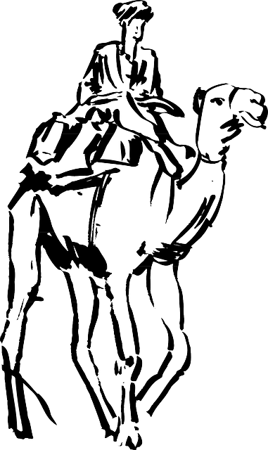 Camel Images At Getdrawings - Dessin Un Homme Sur Un Chameau (381x640), Png Download