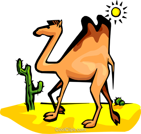 Camel Royalty Free Vector Clip Art Illustration - Adaptive Features Of Camel (480x457), Png Download