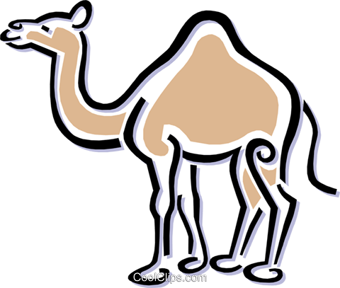 Camel Royalty Free Vector Clip Art Illustration - Uae Camel Clipart (480x407), Png Download