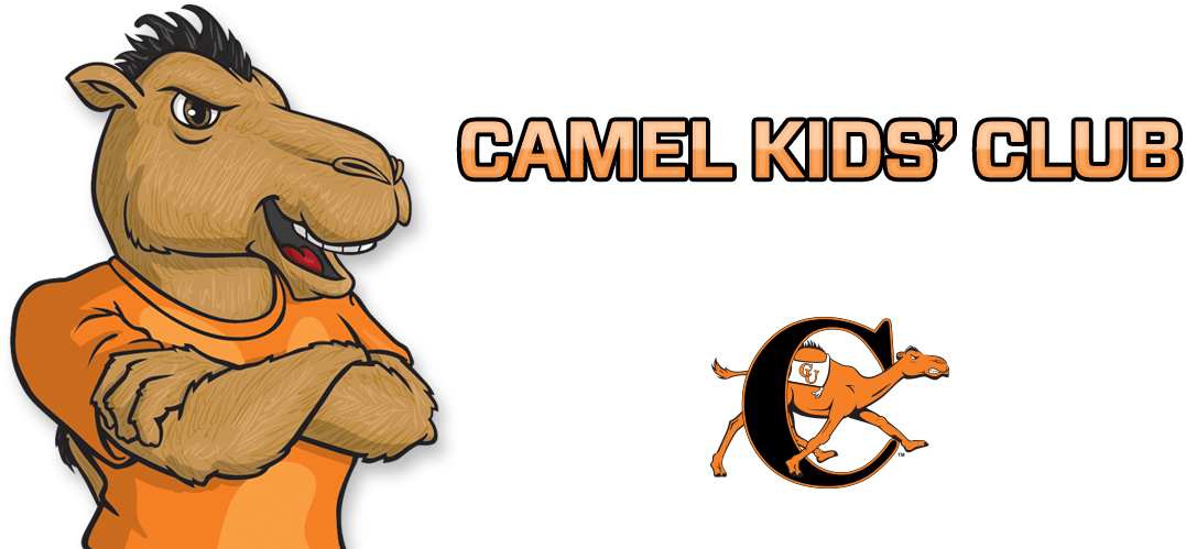 Campbell Fighting Camels And Lady Camels (1128x500), Png Download