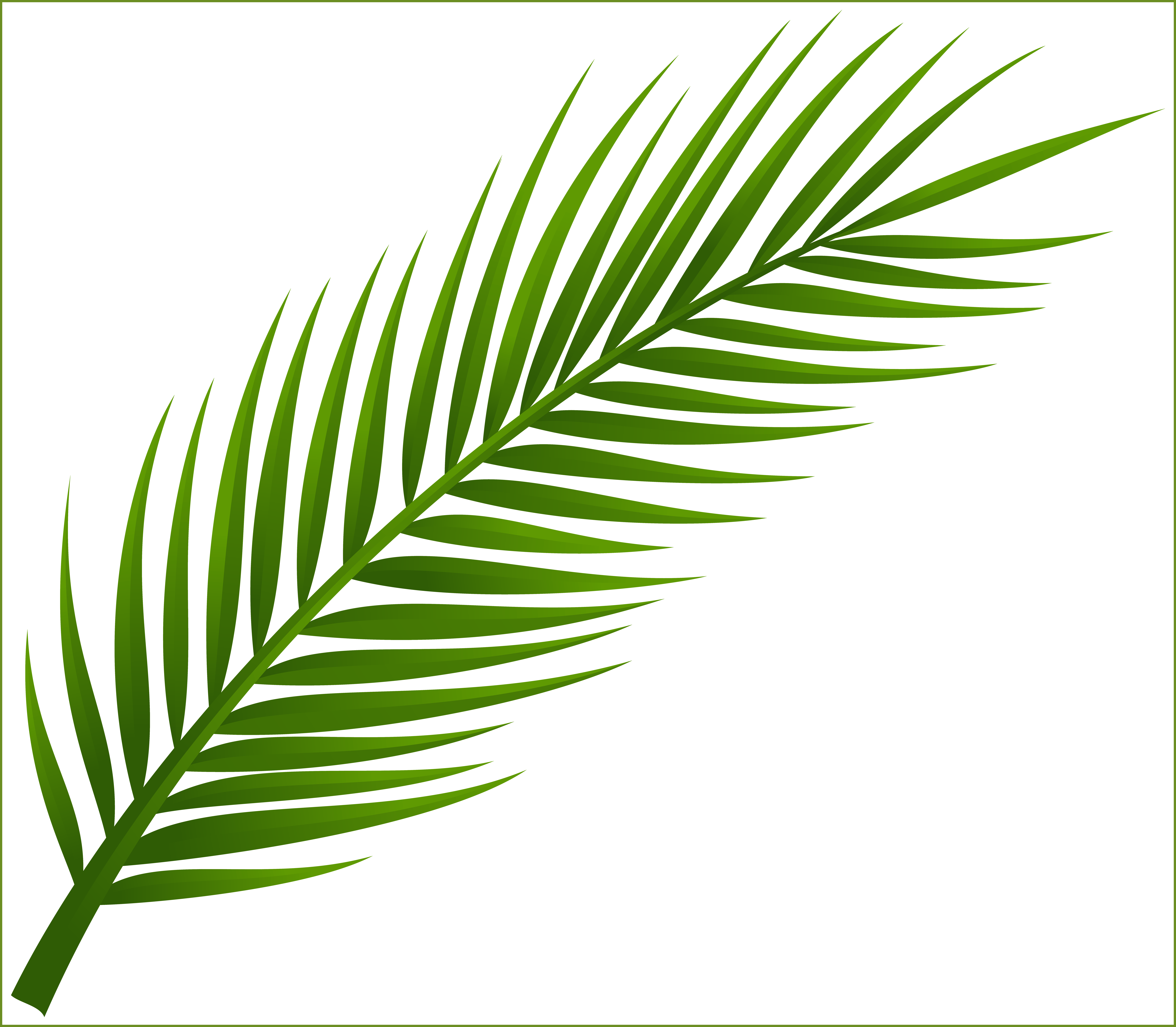 Leaf Clipart Coconut Tree (8030x7013), Png Download