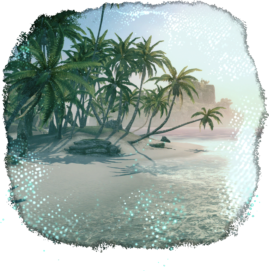 Coconut Beach Attalea Speciosa Free Transparent PNG Download PNGkey
