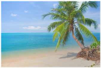 Crescent Shores - (import Cd) (400x400), Png Download