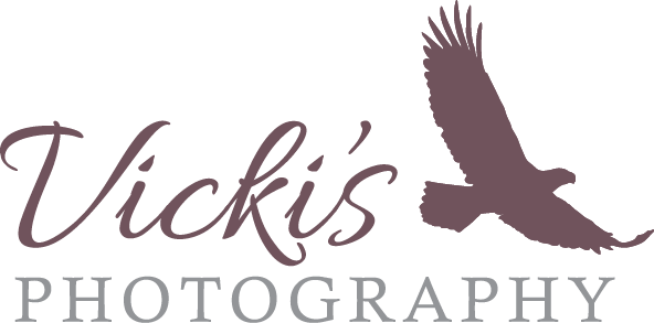 Vicki's Photography Calgary - Vicky Photography Logo Png (592x293), Png Download
