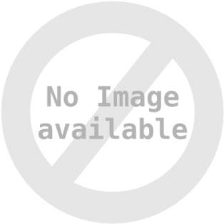 Ganapathi Bhaghavan - Vigneswaram - Primo Ceramic Grills 177411 Oval Junior Band (378x415), Png Download