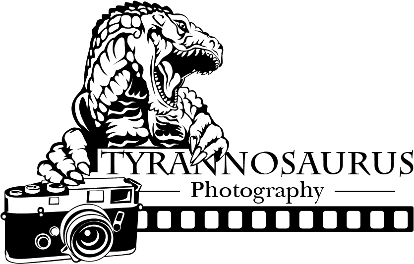 Conservative, Bold, Camera Logo Design For A Company - Illustration (1200x900), Png Download