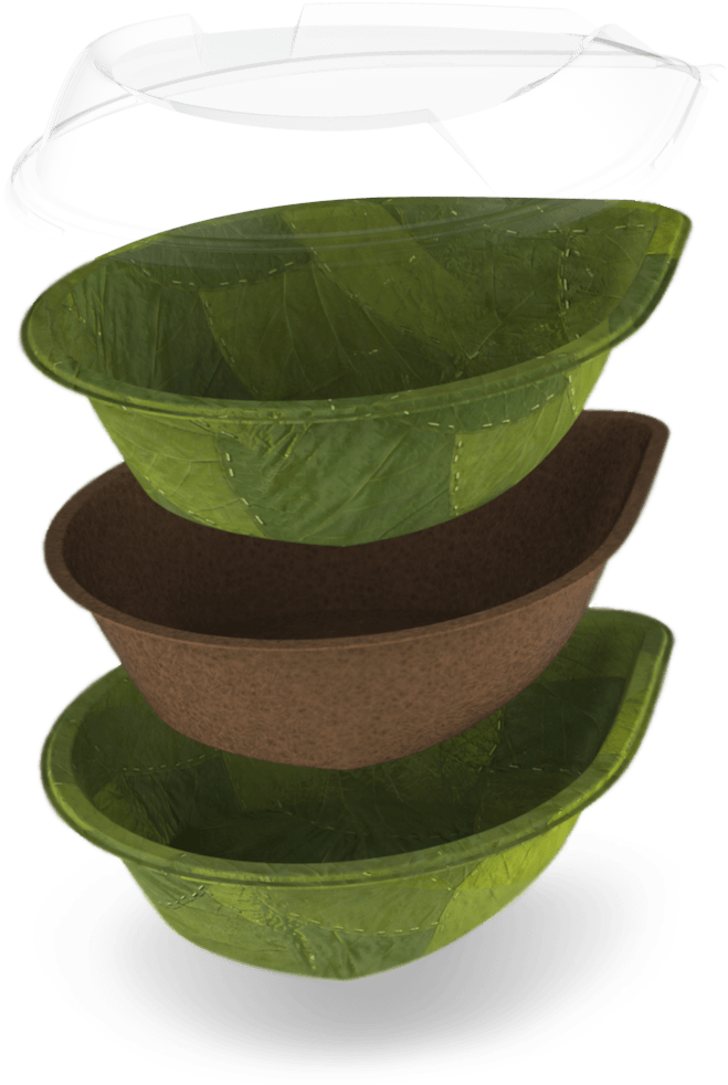 Leaf Republic I Am Like You Diffe - Leaf Plate Biodegradable (1080x1080), Png Download